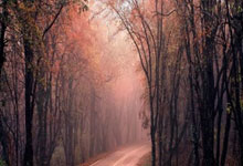 [NBA]布朗抢断击地传球 霍福德跟进双手暴扣.