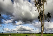 [中国女篮]三人篮球亚洲杯女子半决赛：中国VS澳大利亚.