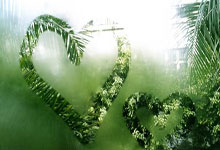 梅西因伤缺席两场世预赛.