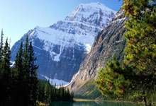 德甲-穆西亚拉绝杀 拜仁2-1科隆逆转多特蒙德夺冠.